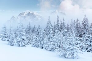 Winter in the mountains. Picture by Freepik