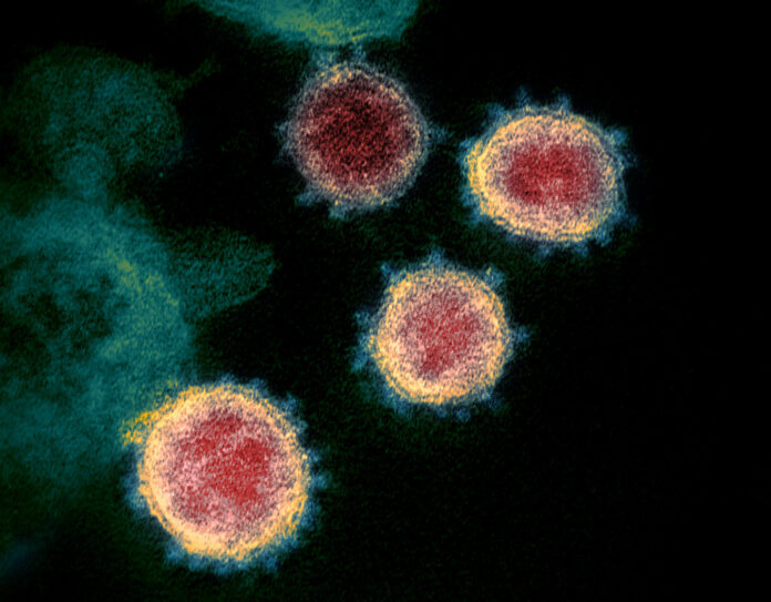 Coronavirus. Source Wikicommons