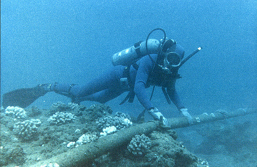 Kabel-podmorski-Flickr