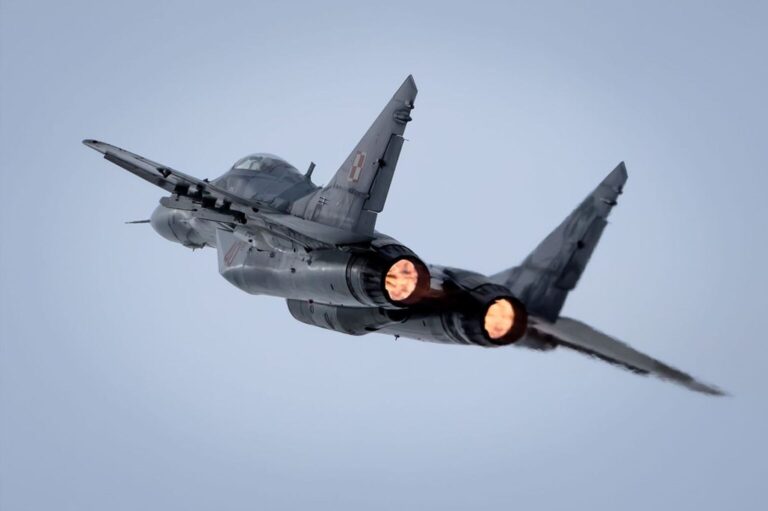 MiG 29. Source: wikimedia.org