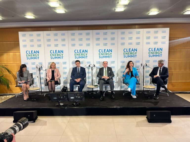 Wanda Buk at the Clean Energy Summit. Picture by PGE