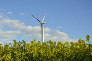 Renewables. Picture by Aleksander Tretyn