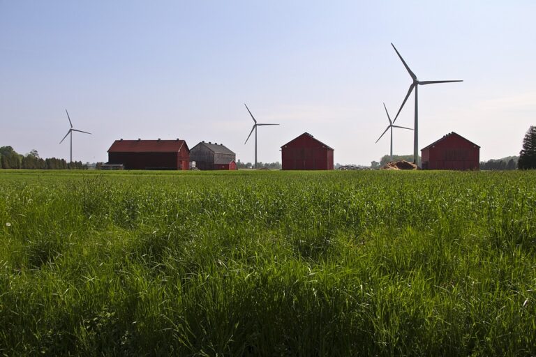 Polish Briefing: Less red tape for small wind turbines I Poles secure a longer transition period for heating in EU