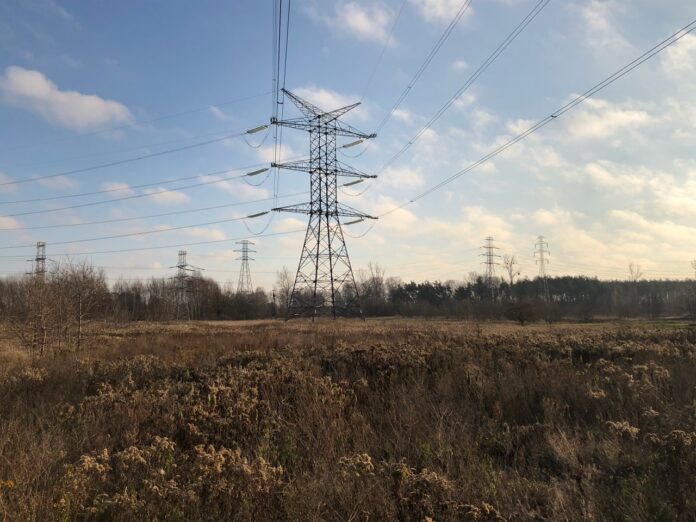 Power line in Rembelszczyzna. Picture by Bartłomiej Sawicki/BiznesAlert.pl