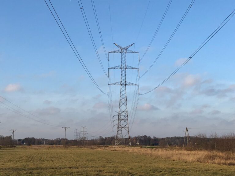 A power line in Rembelszczyzna. Picture by Bartłomiej Sawicki/BiznesAlert.pl