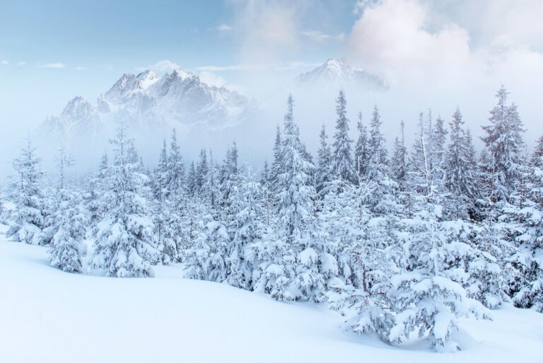 Winter in the mountains. Picture by Freepik