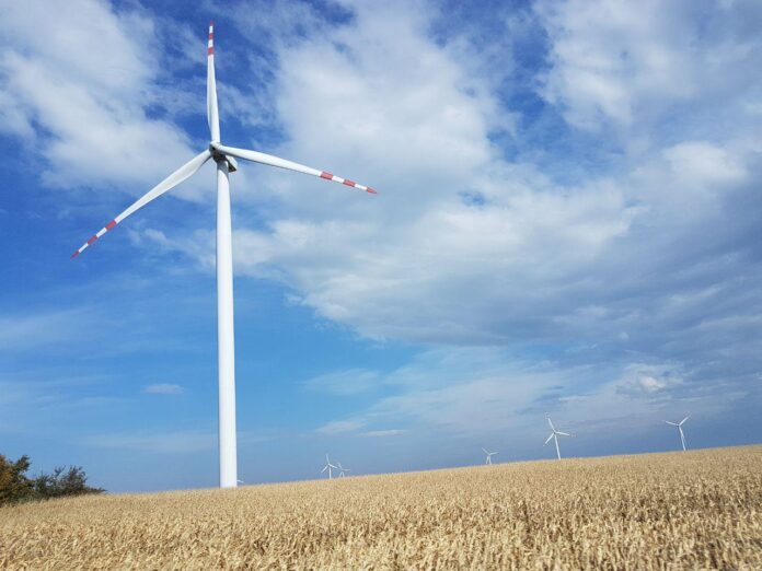 Wind farms in Podkarpacie. Picture by BiznesAlert.pl/Piotr Stępiński