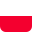 icon of Polish version